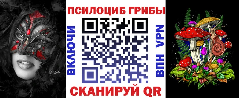 Псилоцибиновые грибы Psilocybe  Рославль 